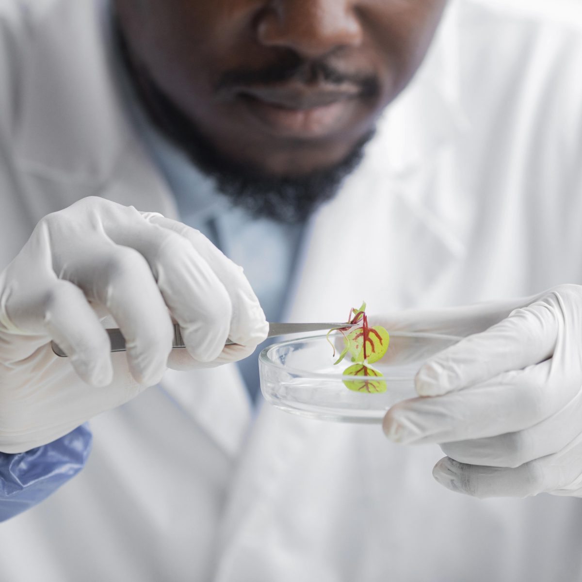front-view-male-researcher-biotechnology-laboratory-with-petri-dish-1200x1200.jpg